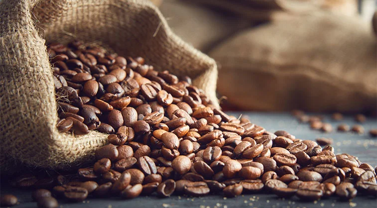 Coffee